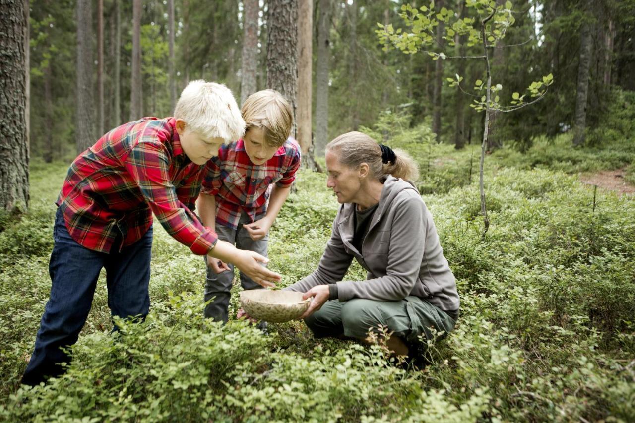 Skinnskatteberg Stf Kolarbyn Eco-Lodge المظهر الخارجي الصورة